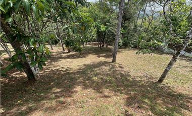 CERRO AZUL / EL VIGIA / CABAÑA / 1750M / ESQUINA / 2 HABITACIONES