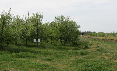 Parcela en venta en SAN CLEMENTE