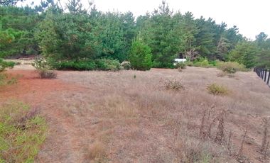 Parcela en venta en PICHILEMU