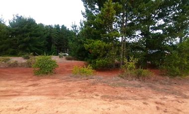 Parcela en venta en PICHILEMU