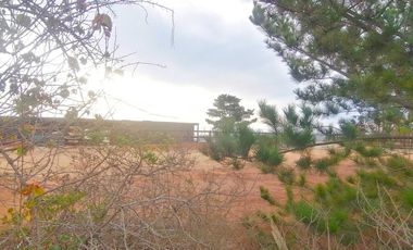 Parcela en venta en PICHILEMU