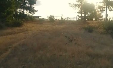Parcela en venta en PICHILEMU