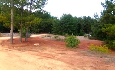 Parcela en venta en PICHILEMU