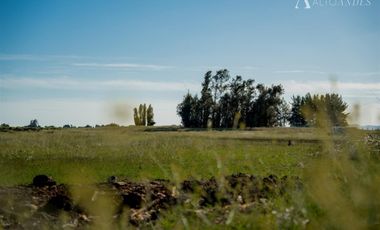 Parcela en Venta en Km 5 Camino Las Ratras