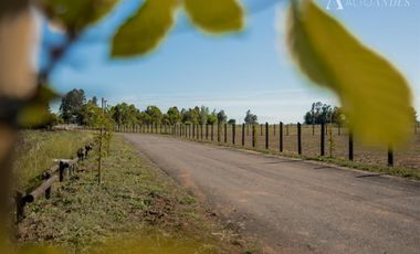 Parcela en Venta en Km 5 Camino Las Ratras