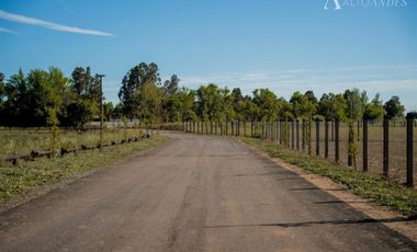 Parcela en Venta en Km 5 Camino Las Ratras