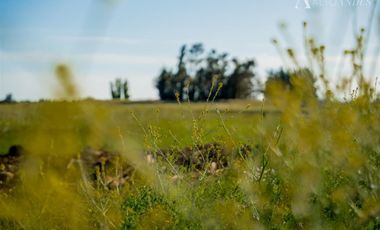 Parcela en Venta en Km 5 Camino Las Ratras