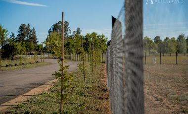 Parcela en Venta en Km 5 Camino Las Ratras