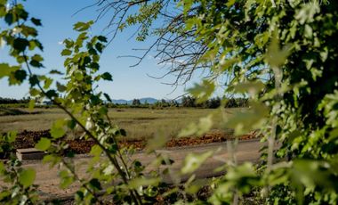Parcela en Venta en Km 5 Camino Las Ratras