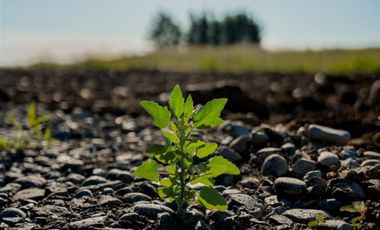 Parcela en Venta en Km 5 Camino Las Ratras