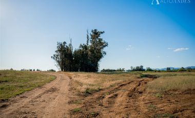 Parcela en Venta en Km 5 Camino Las Ratras