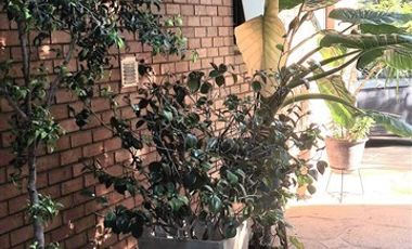 Casa en Venta en ALVARO CASANOVA