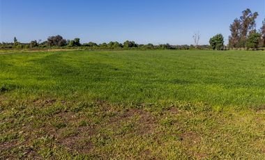 Parcela en Venta en San Gregorio, El Paraiso