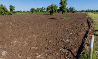 Parcela en Venta en San Gregorio, El Paraiso