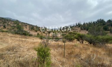 Parcela en Venta en Sector Cholqui