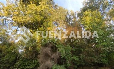 Parcela en Venta en LAS BECASINAS