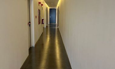 DEPARTAMENTO AMUEBLADO EN RENTA COLONIA AMERICANA