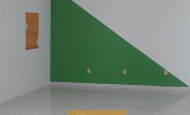 Oficinas en renta Fraccionamiento Virginia