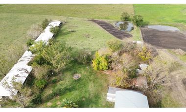 Vendo Lote de 1 Ha Con Casas y Galpón en San Justo, Entre Ríos.