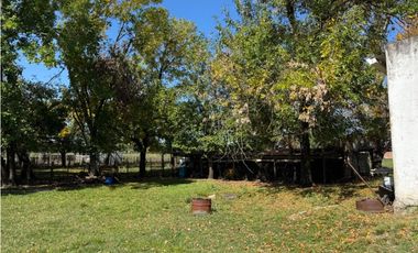 Vendo Lote de 1 Ha Con Casas y Galpón en San Justo, Entre Ríos.