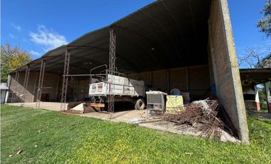 Vendo Lote de 1 Ha Con Casas y Galpón en San Justo, Entre Ríos.