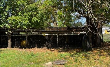 Vendo Lote de 1 Ha Con Casas y Galpón en San Justo, Entre Ríos.