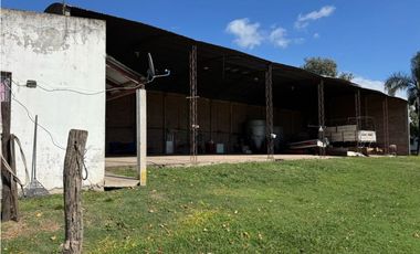 Vendo Lote de 1 Ha Con Casas y Galpón en San Justo, Entre Ríos.