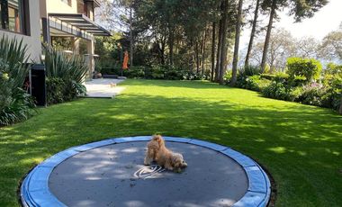 Hermosa Casa Recien remodelada