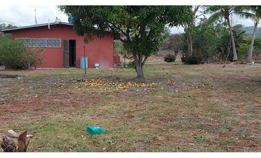 ALQUILA ACOGEDORA CASA  EN AGUAS BLANCAS PENONOMÉ CON OPCIÓN A COMPRA