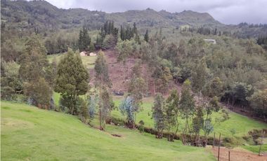 Finca Sutatausa, 1 hectárea
