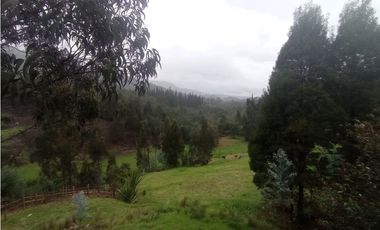 Finca Sutatausa, 1 hectárea