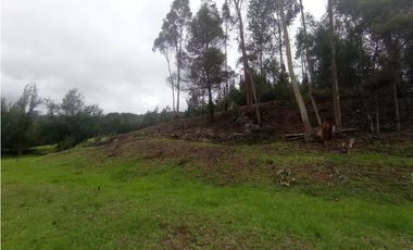 Finca Sutatausa, 1 hectárea