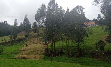 Finca Sutatausa, 1 hectárea