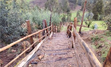 Finca Sutatausa, 1 hectárea