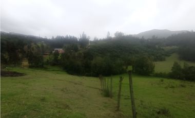 Finca Sutatausa, 1 hectárea