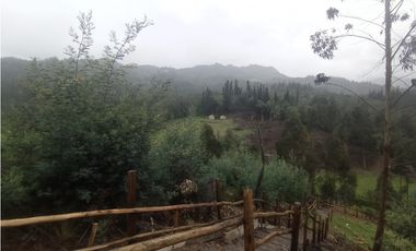 Finca Sutatausa, 1 hectárea