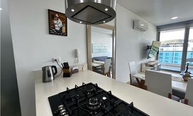 Arriendo Apartamento Amoblado Condominio Samaria