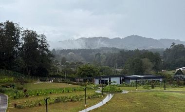 Apartamento en Arriendo en Rionegro sector Sajonia