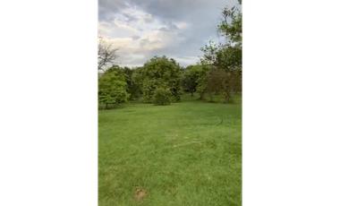 SE VENDE CASA LOTE EN LA VIA CERRITOS KM 6 DIAGONAL A LA TOYOTA