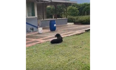 SE VENDE CASA LOTE EN LA VIA CERRITOS KM 6 DIAGONAL A LA TOYOTA