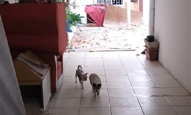 Casa en Venta en lazo con manuela errazuriz