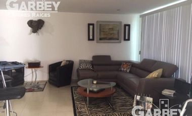 CASA EN RENTA EN REAL DE JURIQUILLA