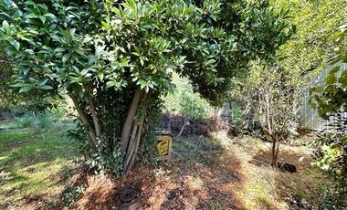 Casa en Venta en Patricio Lynch - Ramón Freire