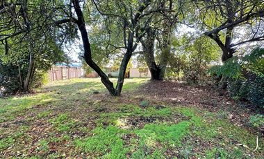 Sitio en Venta en Patricio Lynch - Ramón Freire