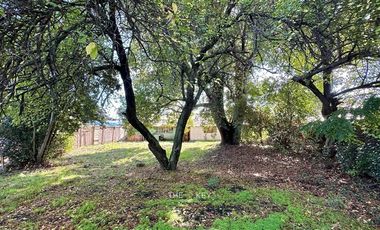 Sitio en Venta en Patricio Lynch - Ramón Freire