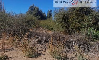 Agrícola en Venta en Terreno agrícola en Nilahue Alto