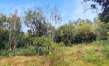 Hermosa Parcela en Sector Chabelita, Orilla de Camino Pavimentado