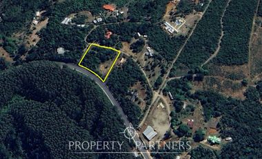 Hermosa Parcela en Sector Chabelita, Orilla de Camino Pavimentado