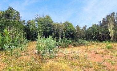Hermosa Parcela en Sector Chabelita, Orilla de Camino Pavimentado
