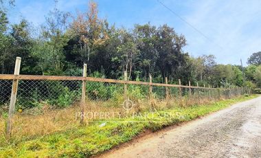 Hermosa Parcela en Sector Chabelita, Orilla de Camino Pavimentado